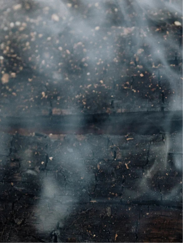 Sérum Peau de Soie - Epices & Bois de santal